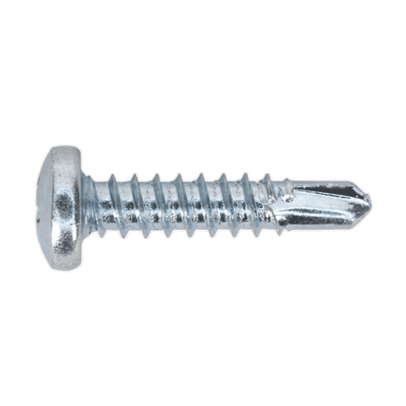 Self Drilling Screw Assortment 500pc Pan Head Phillips Zinc D7504N : Model No.AB060SDS