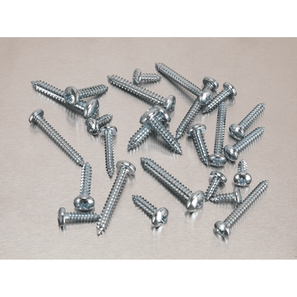 Self Tapping Screw Assortment 305pc Pan Head Pozi Zinc DIN 7981CZ : Model No.AB064STPP