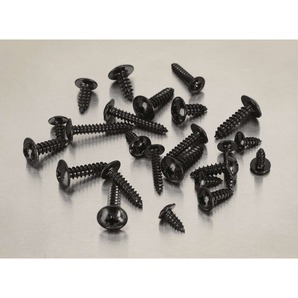 Self Tapping Screw Assortment 700pc Flanged Head BS 4174 : Model No.AB066STBK