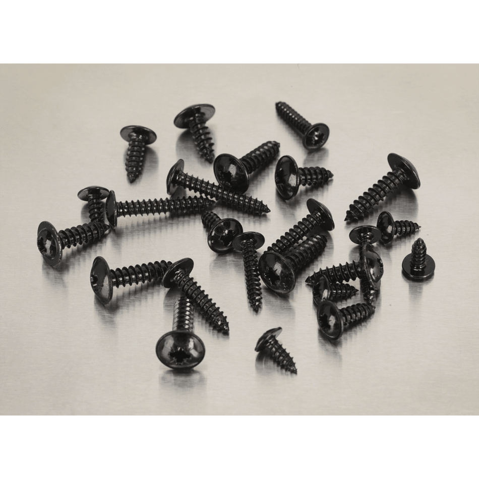 Self Tapping Screw Assortment 700pc Flanged Head BS 4174 : Model No.AB066STBK