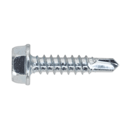 Self Drilling Screw 4.2 x 19mm Hex Head Zinc DIN 7504K Pack of 100 : Model No.SDHX4219