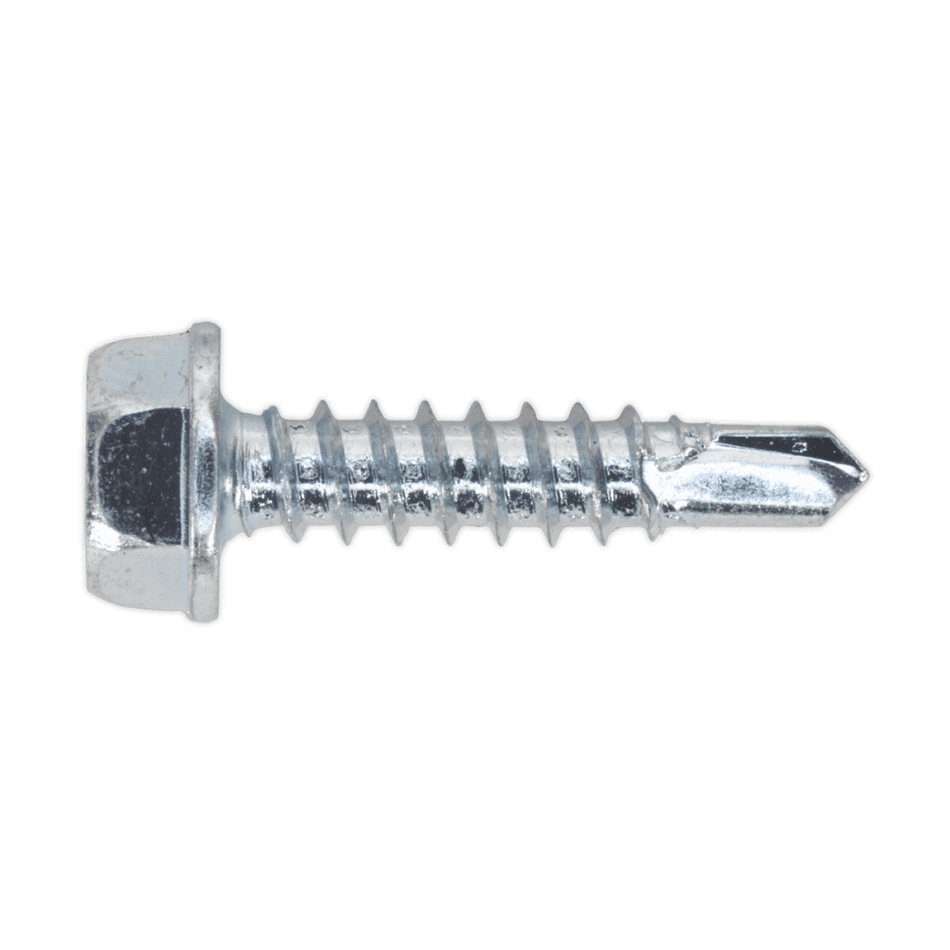 Self Drilling Screw 4.2 x 19mm Hex Head Zinc DIN 7504K Pack of 100 : Model No.SDHX4219