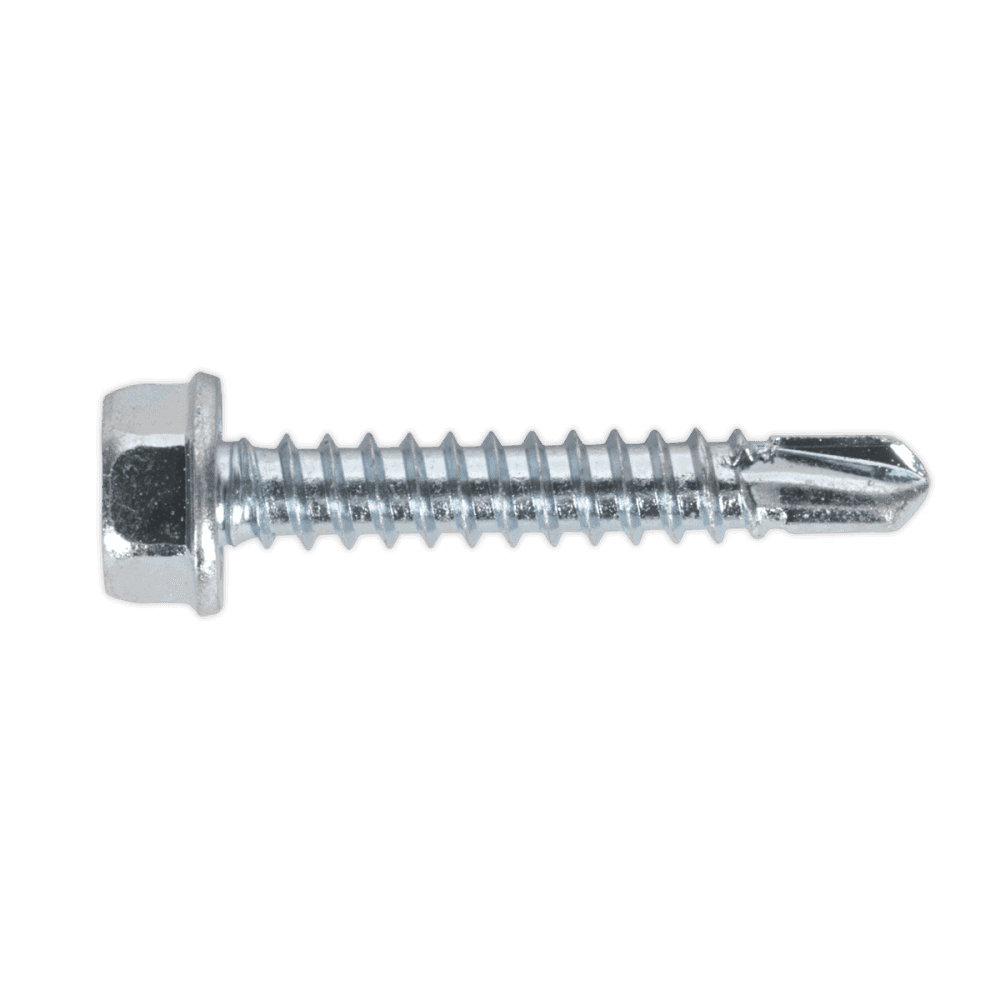 Self Drilling Screw 4.2 x 25mm Hex Head Zinc DIN 7504K Pack of 100 : Model No.SDHX4225