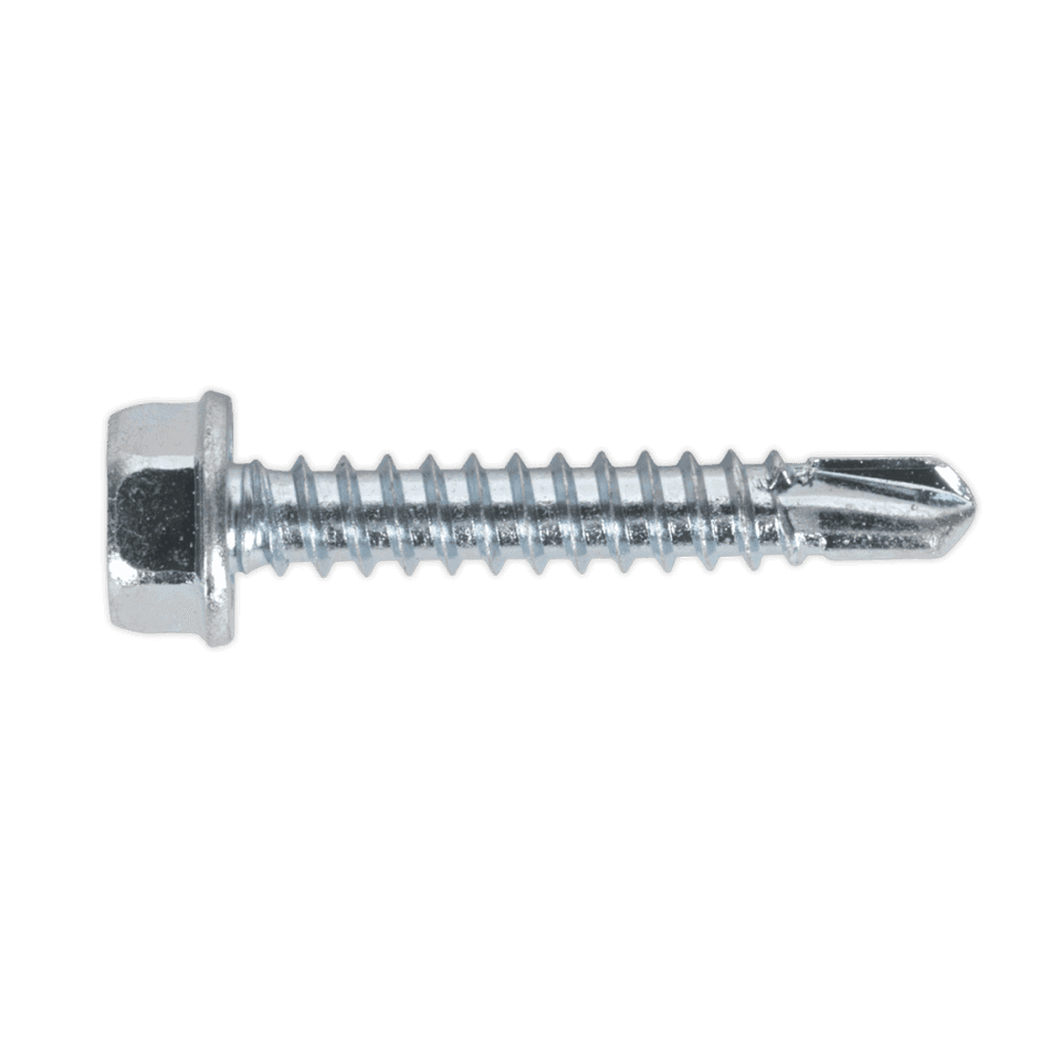 Self Drilling Screw 4.2 x 25mm Hex Head Zinc DIN 7504K Pack of 100 : Model No.SDHX4225