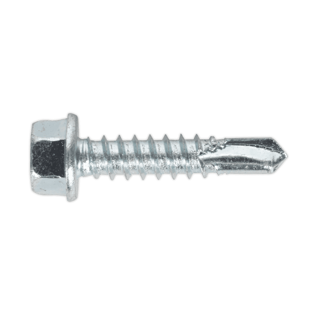 Self Drilling Screw 5.5 x 25mm Hex Head Zinc DIN 7504K Pack of 100 : Model No.SDHX5525