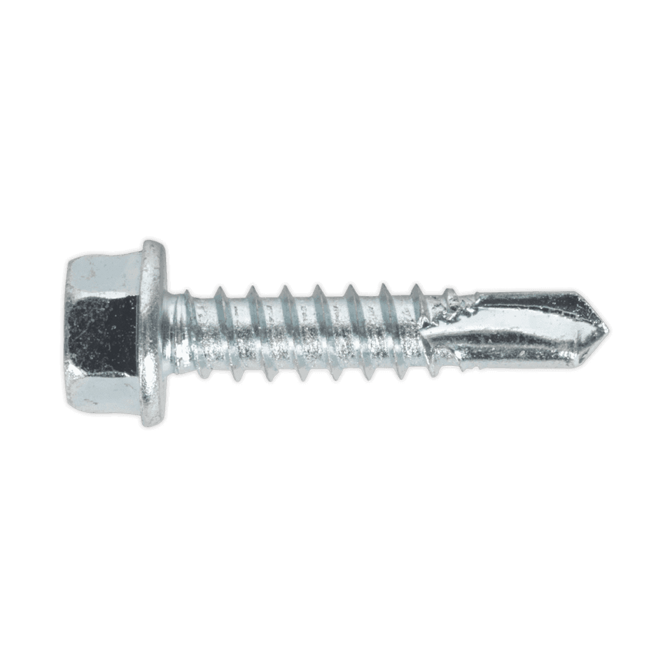 Self Drilling Screw 5.5 x 25mm Hex Head Zinc DIN 7504K Pack of 100 : Model No.SDHX5525