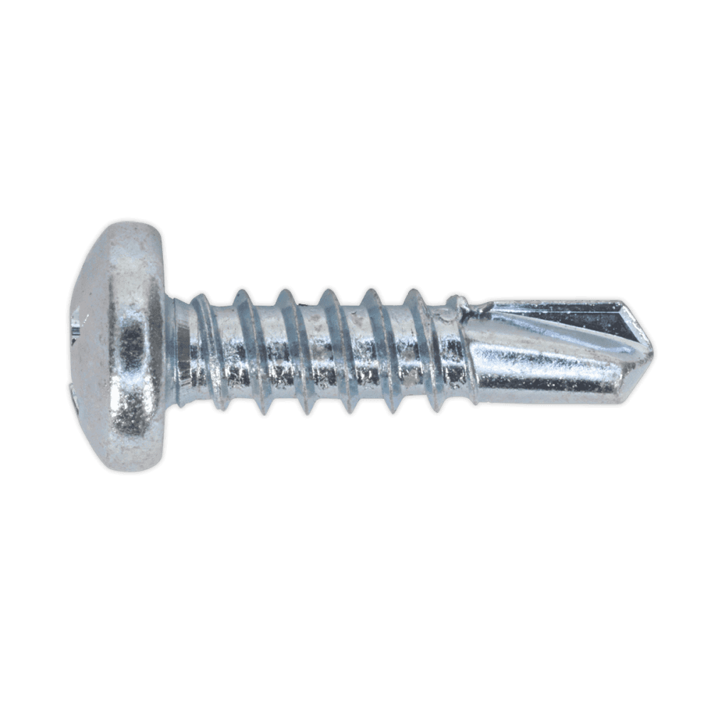 Self Drilling Screw 4.8 x 19mm Pan Head Phillips Zinc D7504N Pack of 100 : Model No.SDPH4819