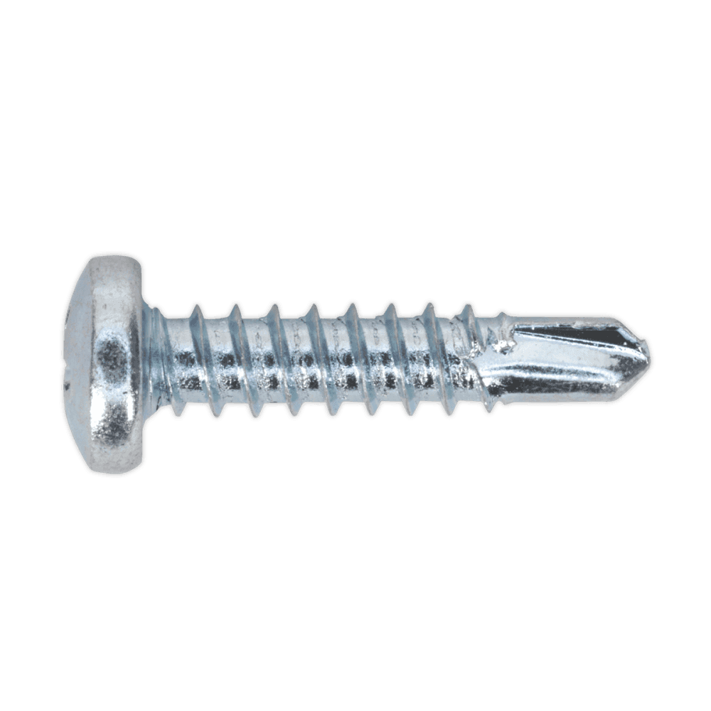 Self Drilling Screw 4.2 x 19mm Pan Head Phillips Zinc D7504N Pack of 100 : Model No.SDPH4219