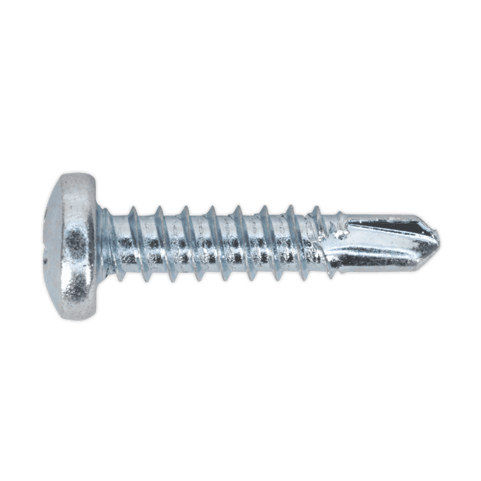 Self Drilling Screw 4.2 x 19mm Pan Head Phillips Zinc D7504N Pack of 100 : Model No.SDPH4219