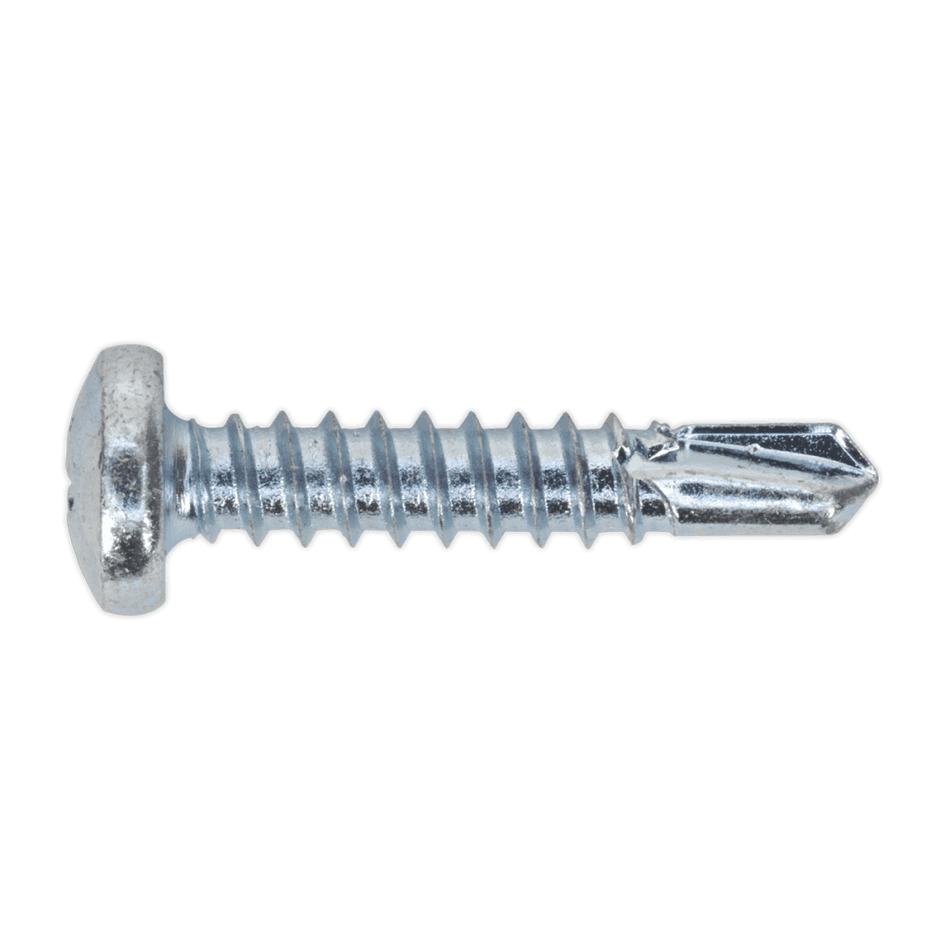 Self Drilling Screw 4.8 x 25mm Pan Head Phillips Zinc D7504N Pack of 100 : Model No.SDPH4825