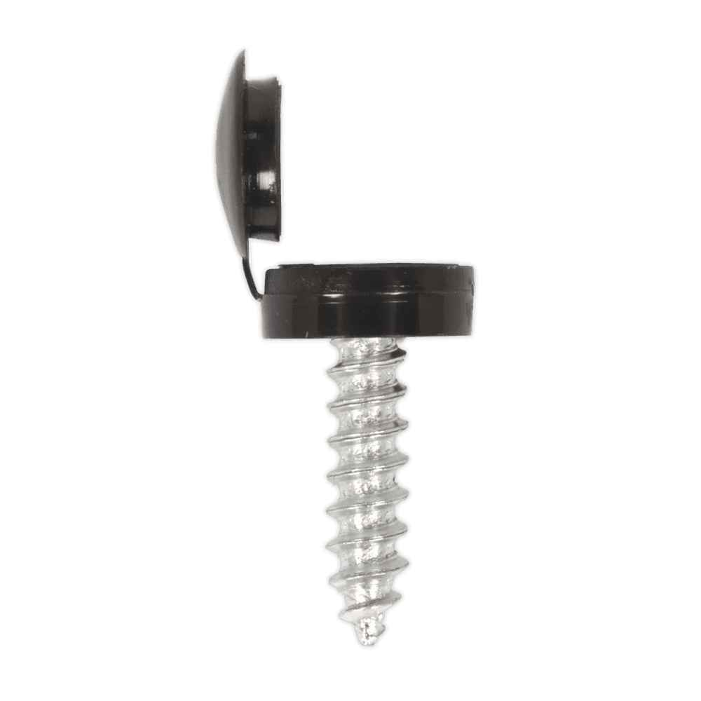 Numberplate Screw with Flip Cap 4.2 x 19mm, Black - Pack of 50 : Model No.NPBK50