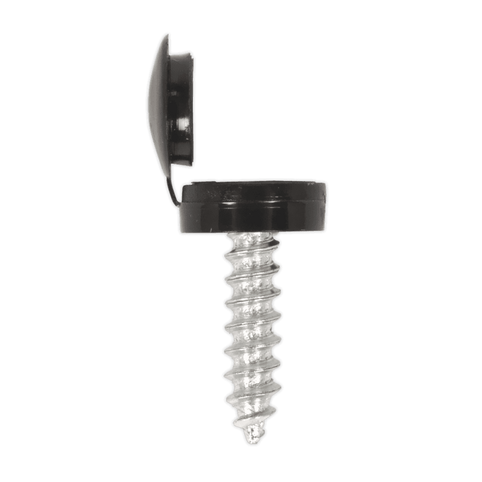 Numberplate Screw with Flip Cap 4.2 x 19mm, Black - Pack of 50 : Model No.NPBK50