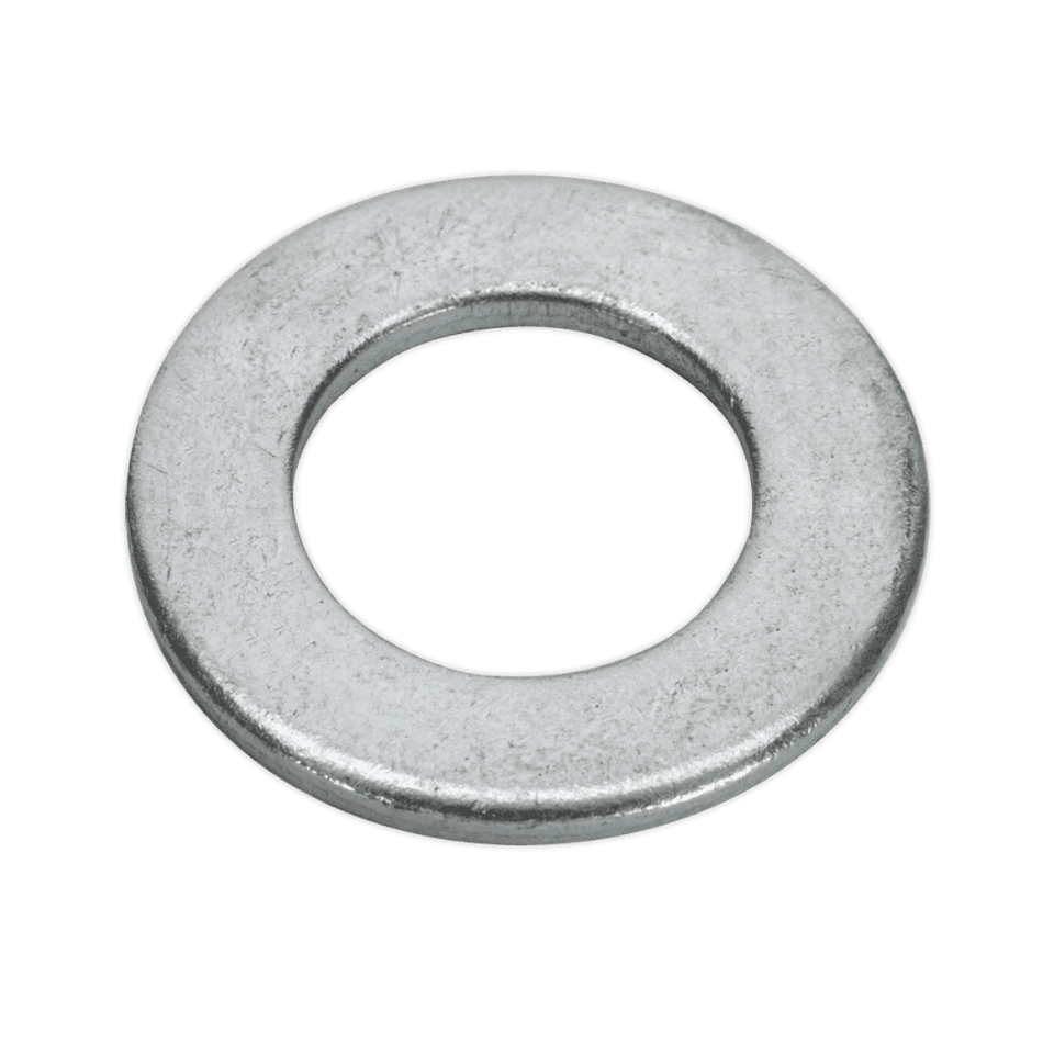 Flat Washer M20 x 39mm Form C BS 4320 Pack of 50 : Model No.FWC2039