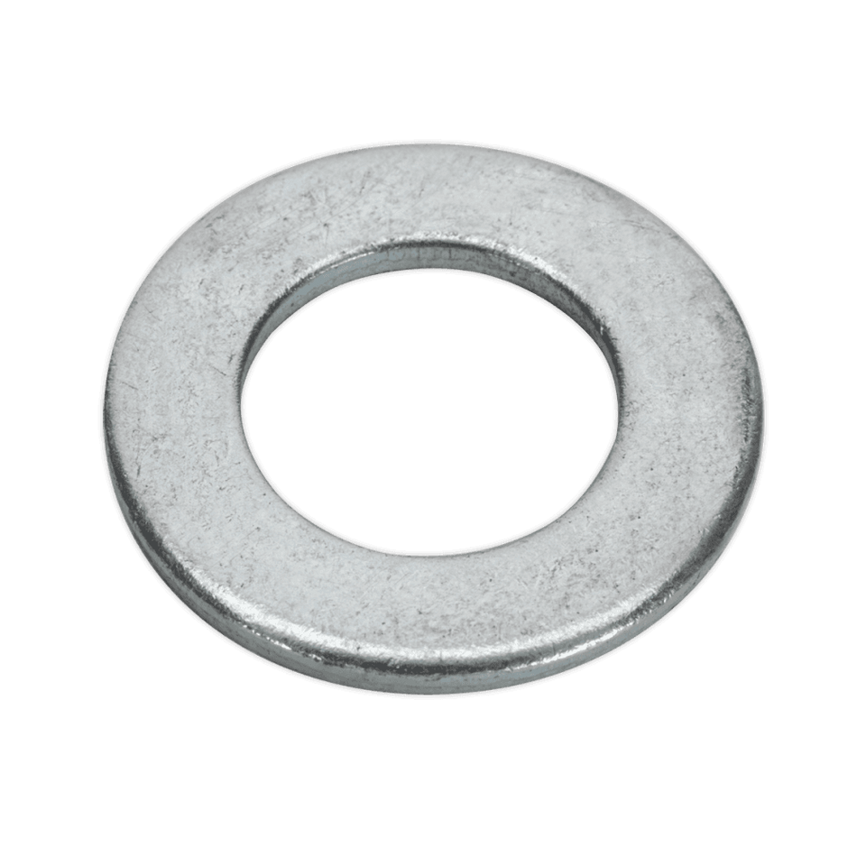 Flat Washer M24 x 50mm Form C BS 4320 Pack of 25 : Model No.FWC2450