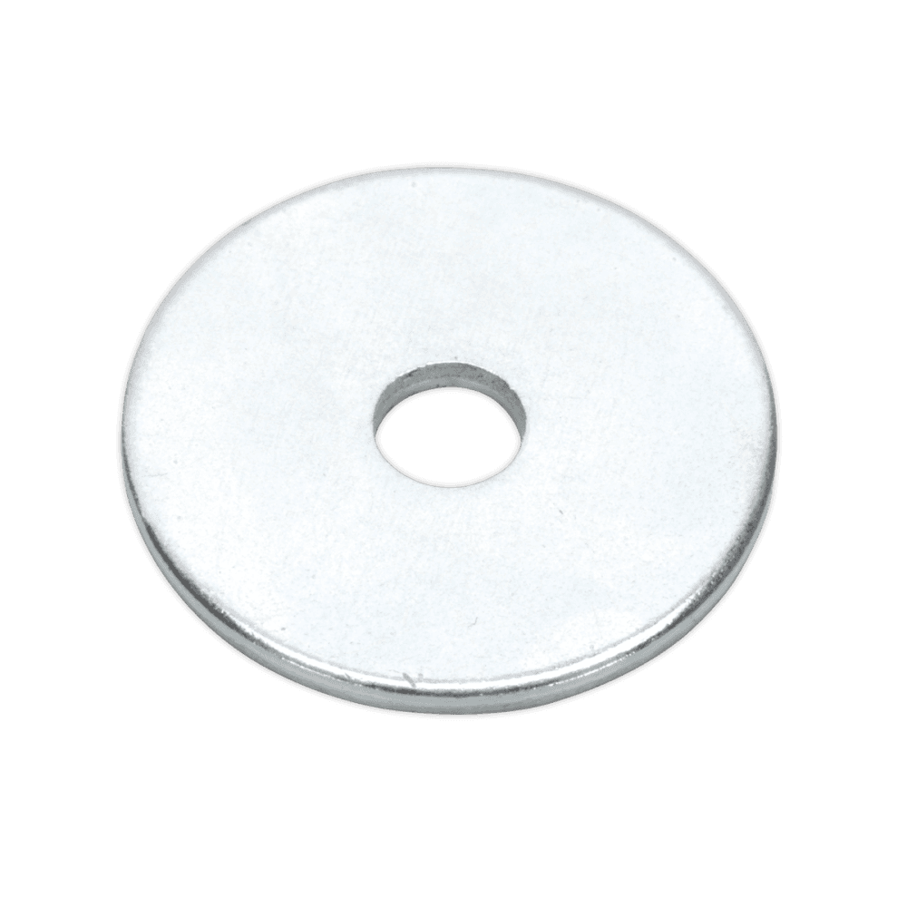 Repair Washer M5 x 19mm Zinc Plated Pack of 100 : Model No.RW519