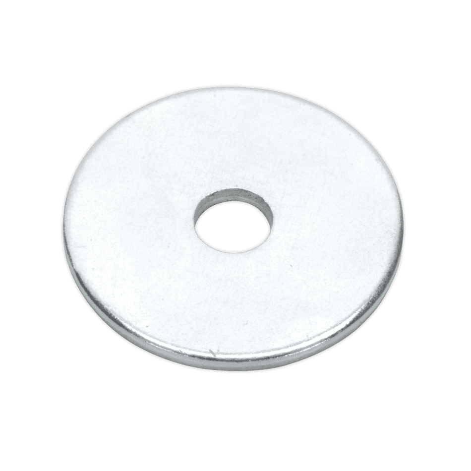 Repair Washer M5 x 19mm Zinc Plated Pack of 100 : Model No.RW519