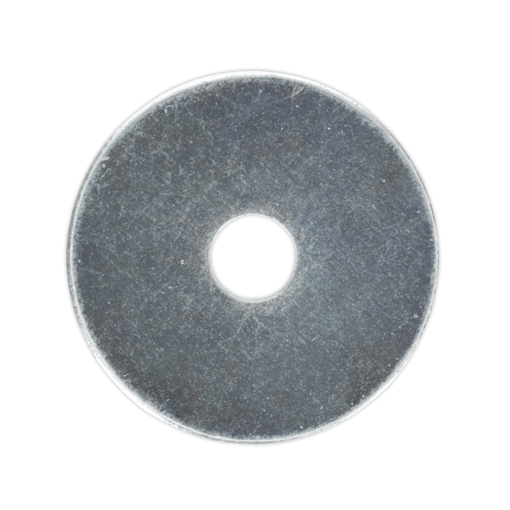 Repair Washer M5 x 19mm Zinc Plated Pack of 100 : Model No.RW519