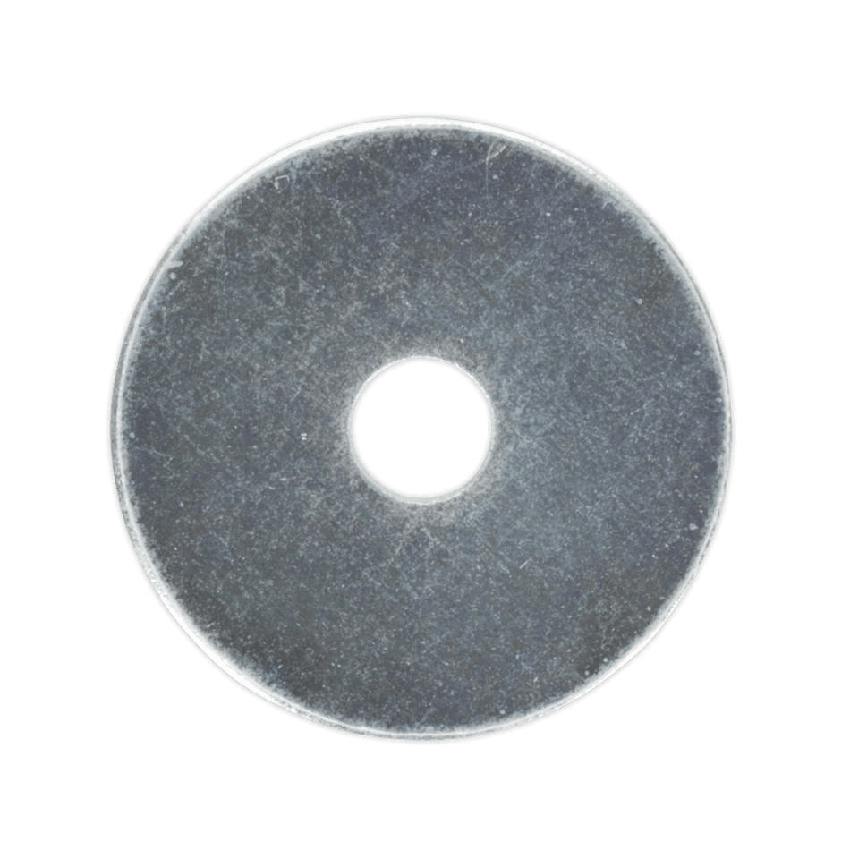 Repair Washer M5 x 19mm Zinc Plated Pack of 100 : Model No.RW519