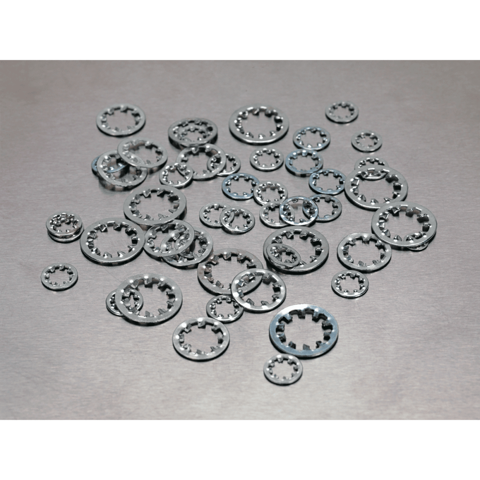 Lock Washer Assortment 1000pc Serrated Internal M5-M10 Metric DIN 6798J : Model No.AB057LW