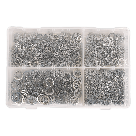 Lock Washer Assortment 1000pc Serrated Internal M5-M10 Metric DIN 6798J : Model No.AB057LW