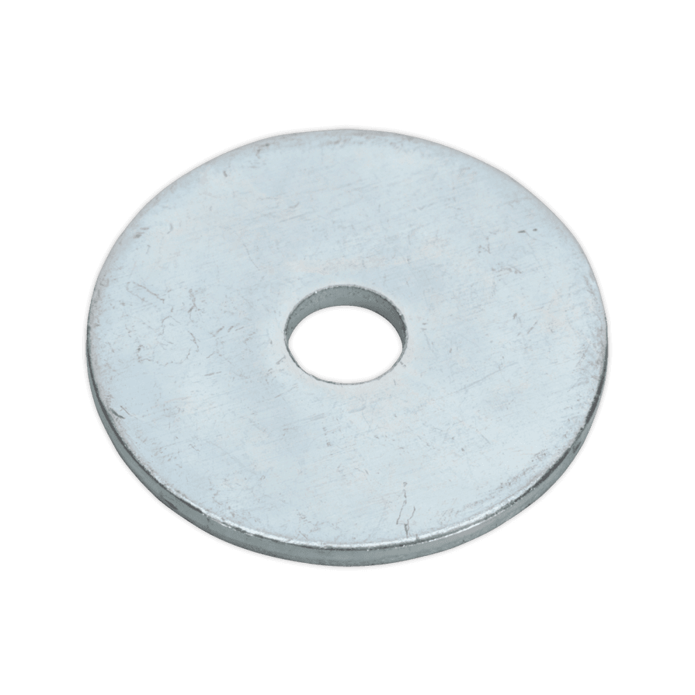 Repair Washer M5 x 25mm Zinc Plated Pack of 100 : Model No.RW525