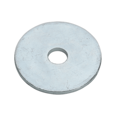 Repair Washer M5 x 25mm Zinc Plated Pack of 100 : Model No.RW525