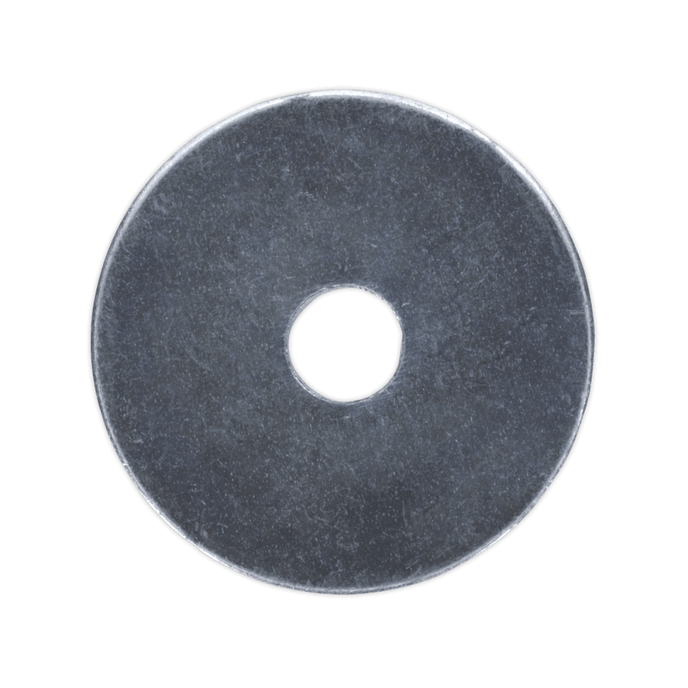 Repair Washer M5 x 25mm Zinc Plated Pack of 100 : Model No.RW525