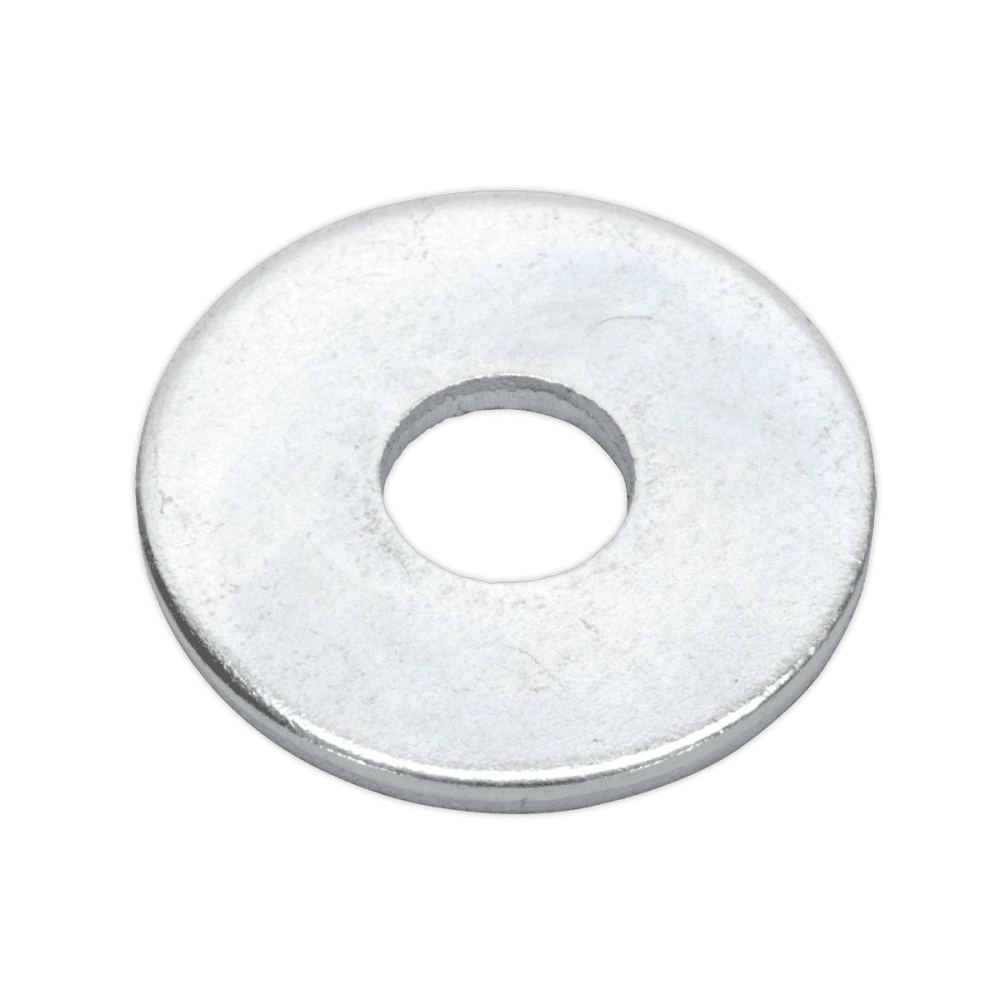 Repair Washer M6 x 19mm Zinc Plated Pack of 100 : Model No.RW619