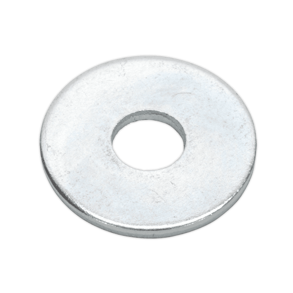 Repair Washer M6 x 19mm Zinc Plated Pack of 100 : Model No.RW619