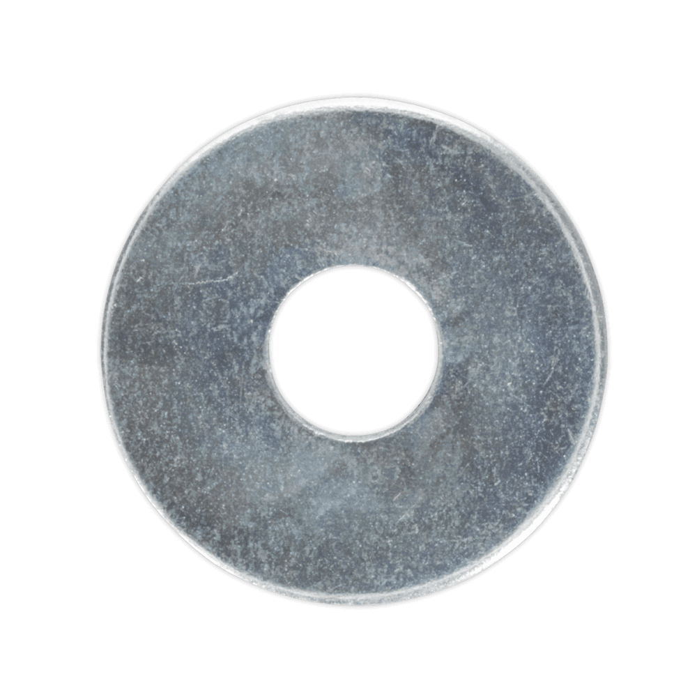 Repair Washer M6 x 19mm Zinc Plated Pack of 100 : Model No.RW619