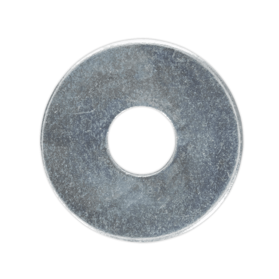 Repair Washer M6 x 19mm Zinc Plated Pack of 100 : Model No.RW619
