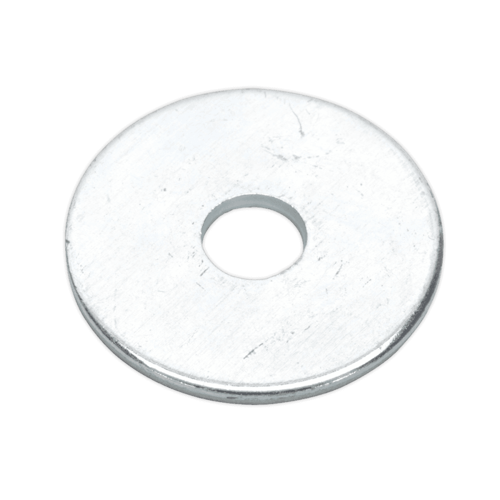 Repair Washer M6 x 25mm Zinc Plated Pack of 100 : Model No.RW625