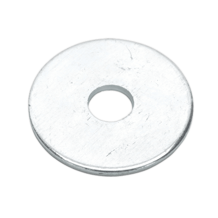 Repair Washer M6 x 25mm Zinc Plated Pack of 100 : Model No.RW625