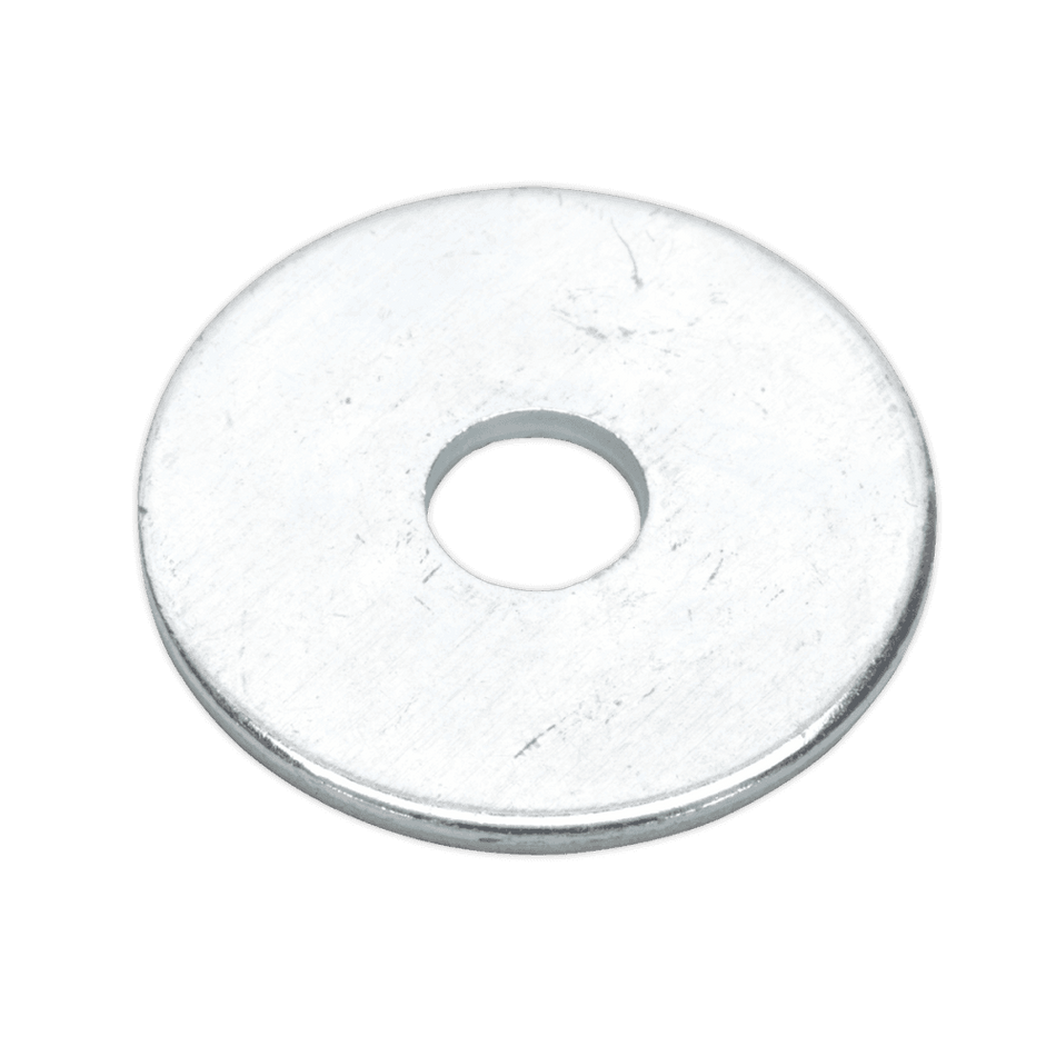 Repair Washer M6 x 25mm Zinc Plated Pack of 100 : Model No.RW625