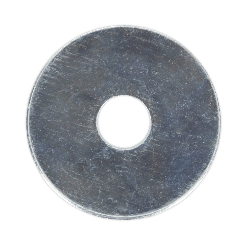 Repair Washer M6 x 25mm Zinc Plated Pack of 100 : Model No.RW625