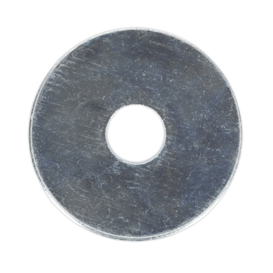 Repair Washer M6 x 25mm Zinc Plated Pack of 100 : Model No.RW625