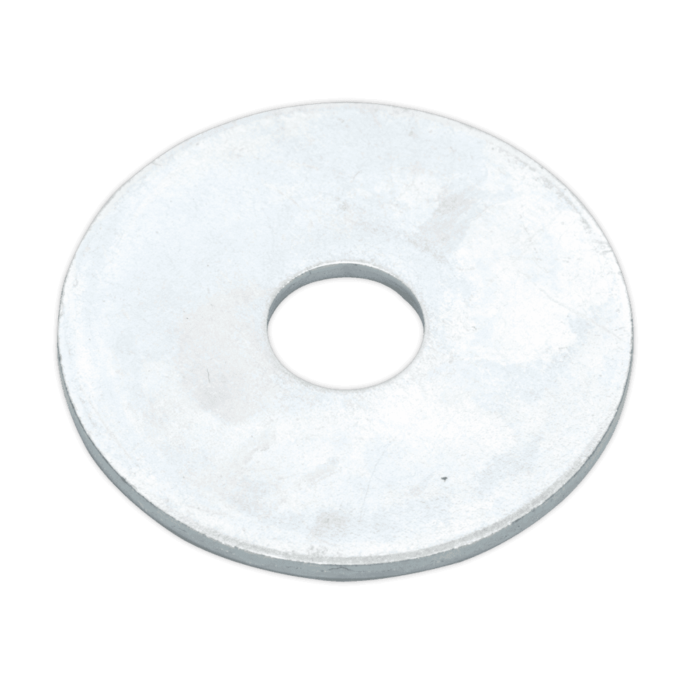 Repair Washer M10 x 38mm Zinc Plated Pack of 50 : Model No.RW1038