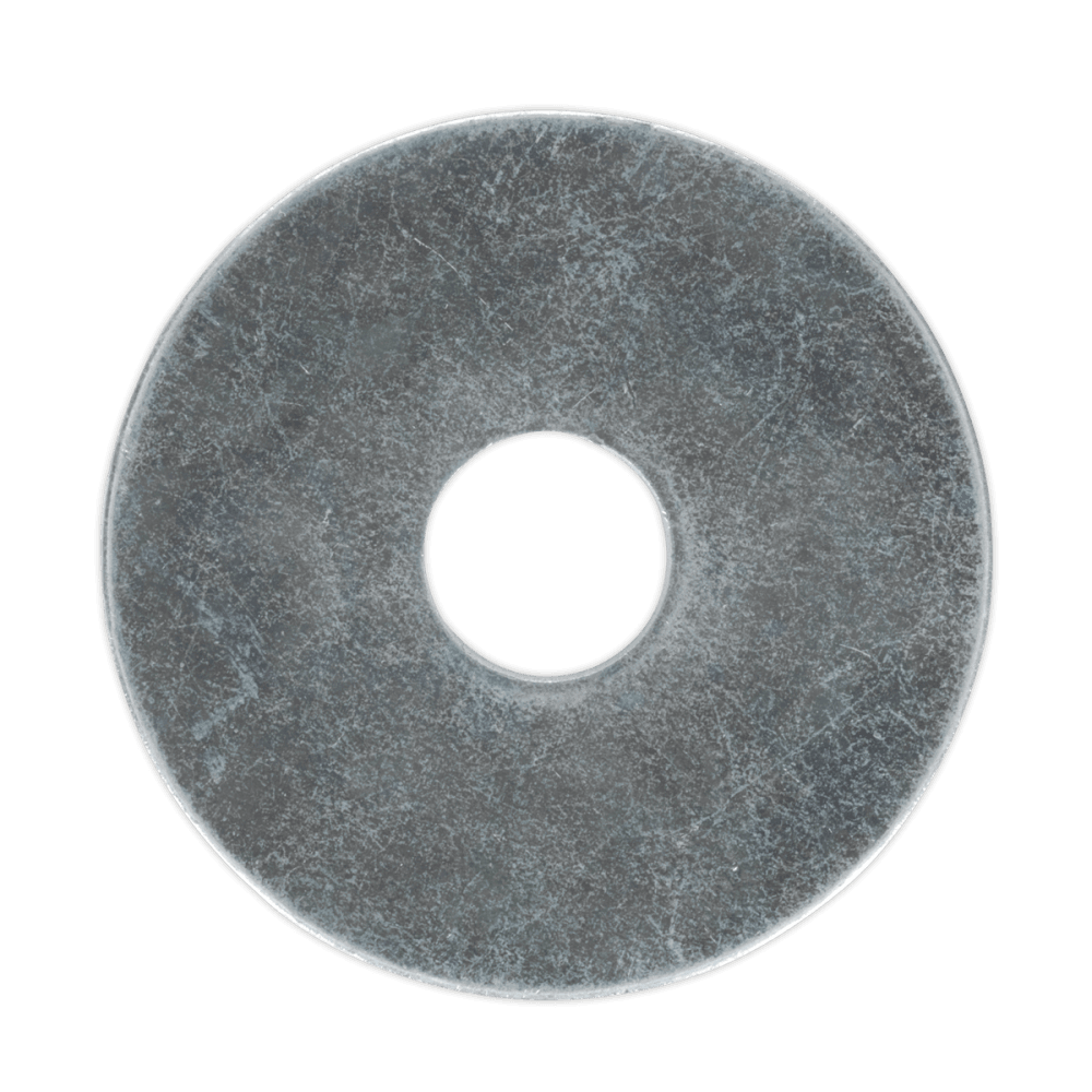 Repair Washer M10 x 38mm Zinc Plated Pack of 50 : Model No.RW1038