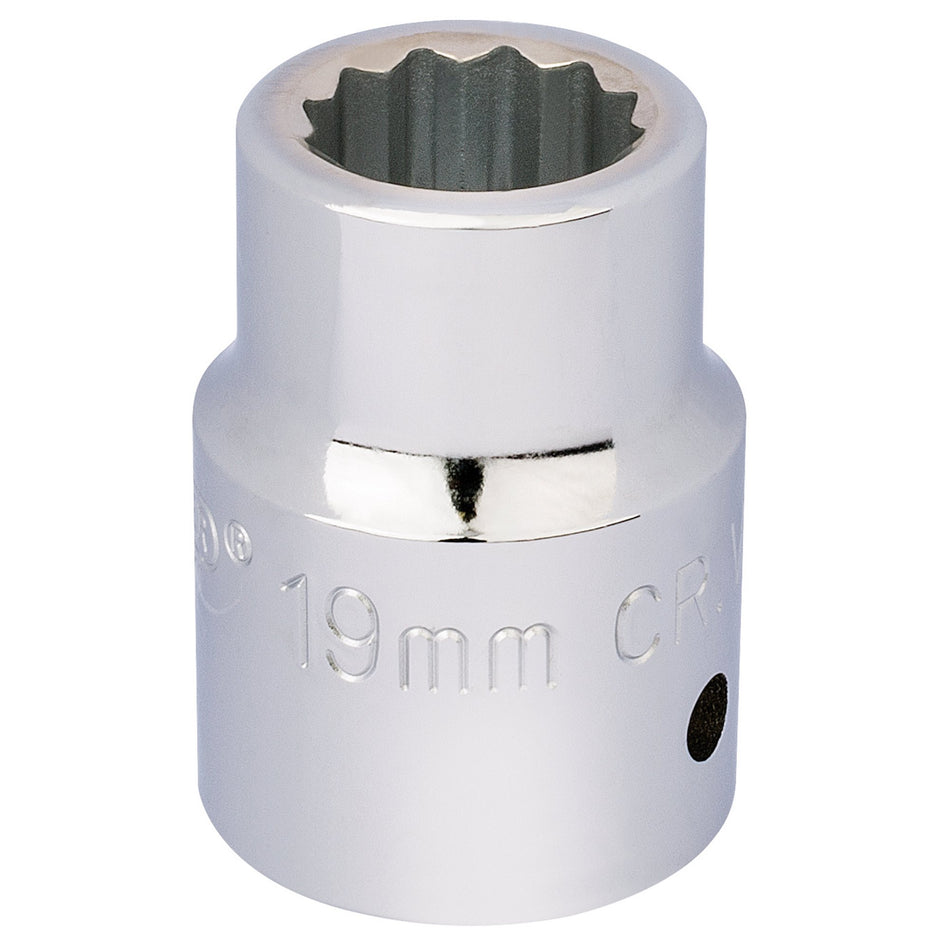 DRAPER 3/4" Square Drive 12 Point Socket (19mm): Model No. T-MM/B