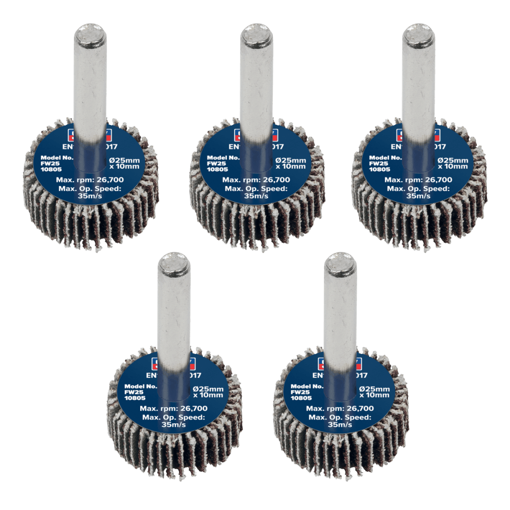 Sealey Flap Wheel 25 x 10mm 6mm Shaft 80Grit - Pack of 5 Model No - FW2510805