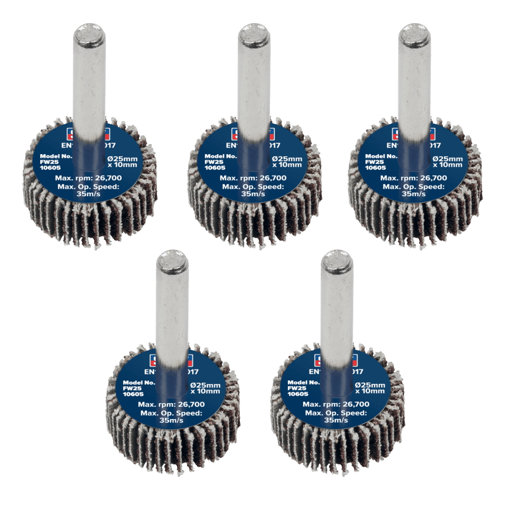 Sealey Flap Wheel 25 x 10mm 6mm Shaft 60Grit - Pack of 5 Model No - FW2510605