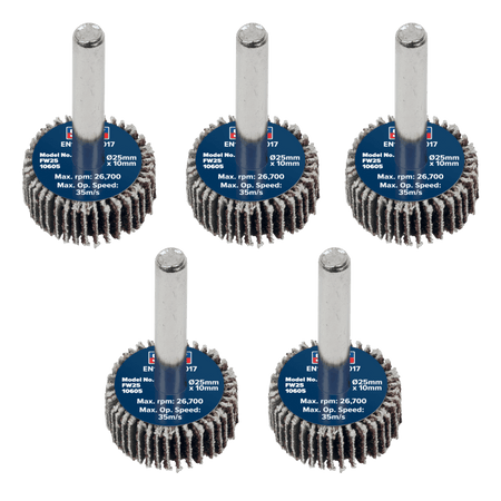 Sealey Flap Wheel 25 x 10mm 6mm Shaft 60Grit - Pack of 5 Model No - FW2510605