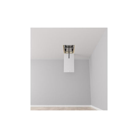 Telesteps Loft Line Maxi Telescopic Ladder 10 Tread-TEL72527541