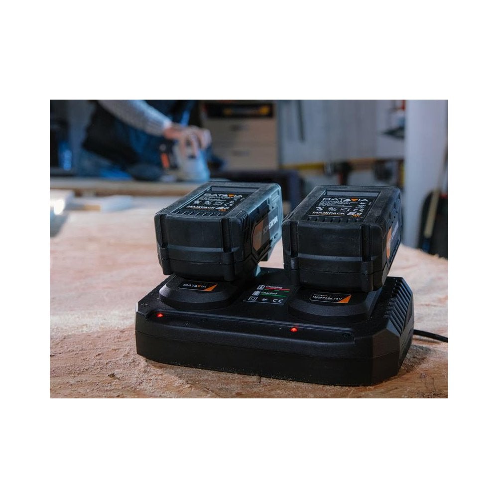 Batavia MAXXPACK Li-ion Dual Charger 240V-BAT7064162