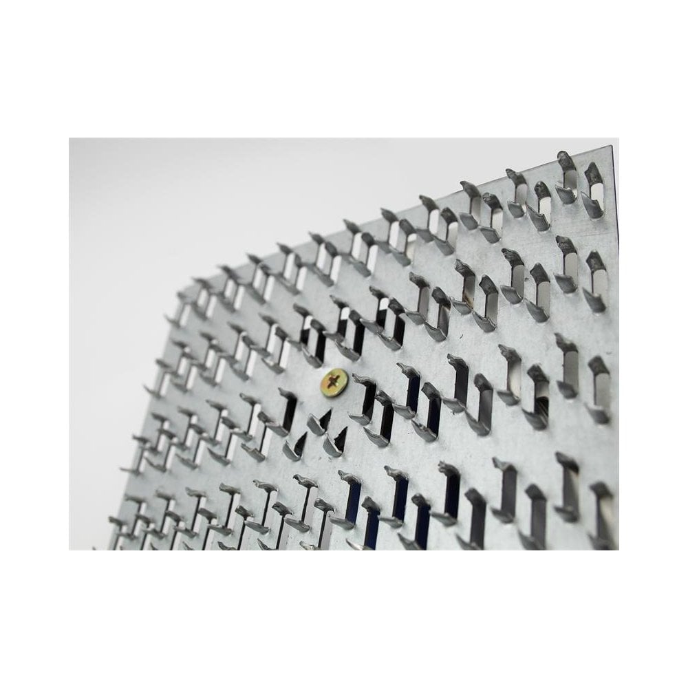 Faithfull Render Scraper Float 250 x 142mm