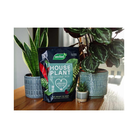 Westland Houseplant Potting Mix 4 litre
