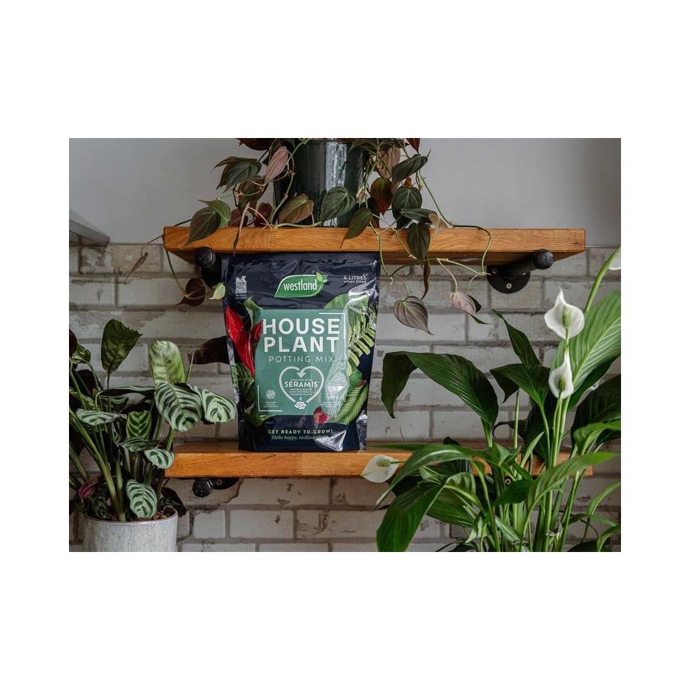 Westland Houseplant Potting Mix 4 litre