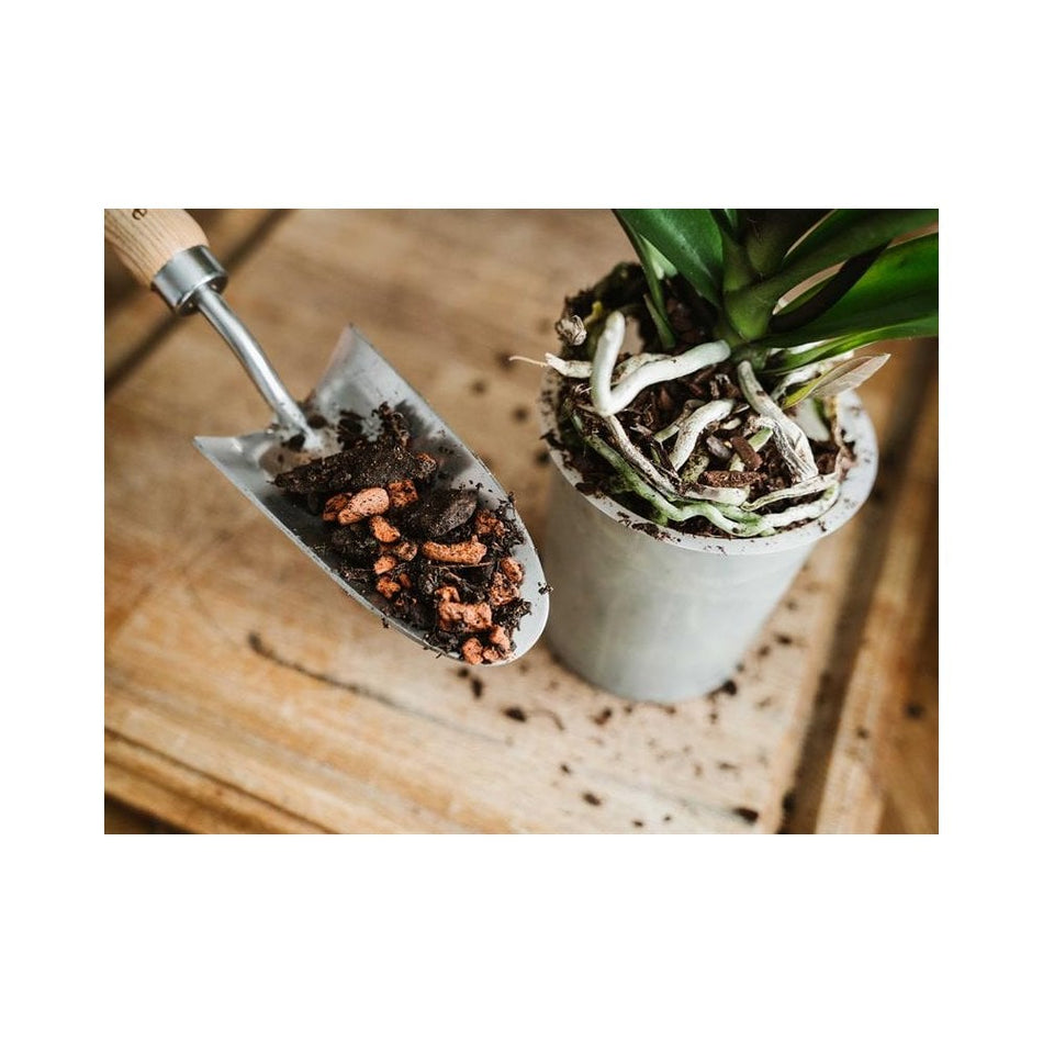 Westland Orchid Potting Mix 4 litre
