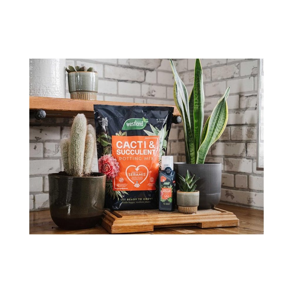 Westland Cacti & Succulent Potting Mix 4 litre