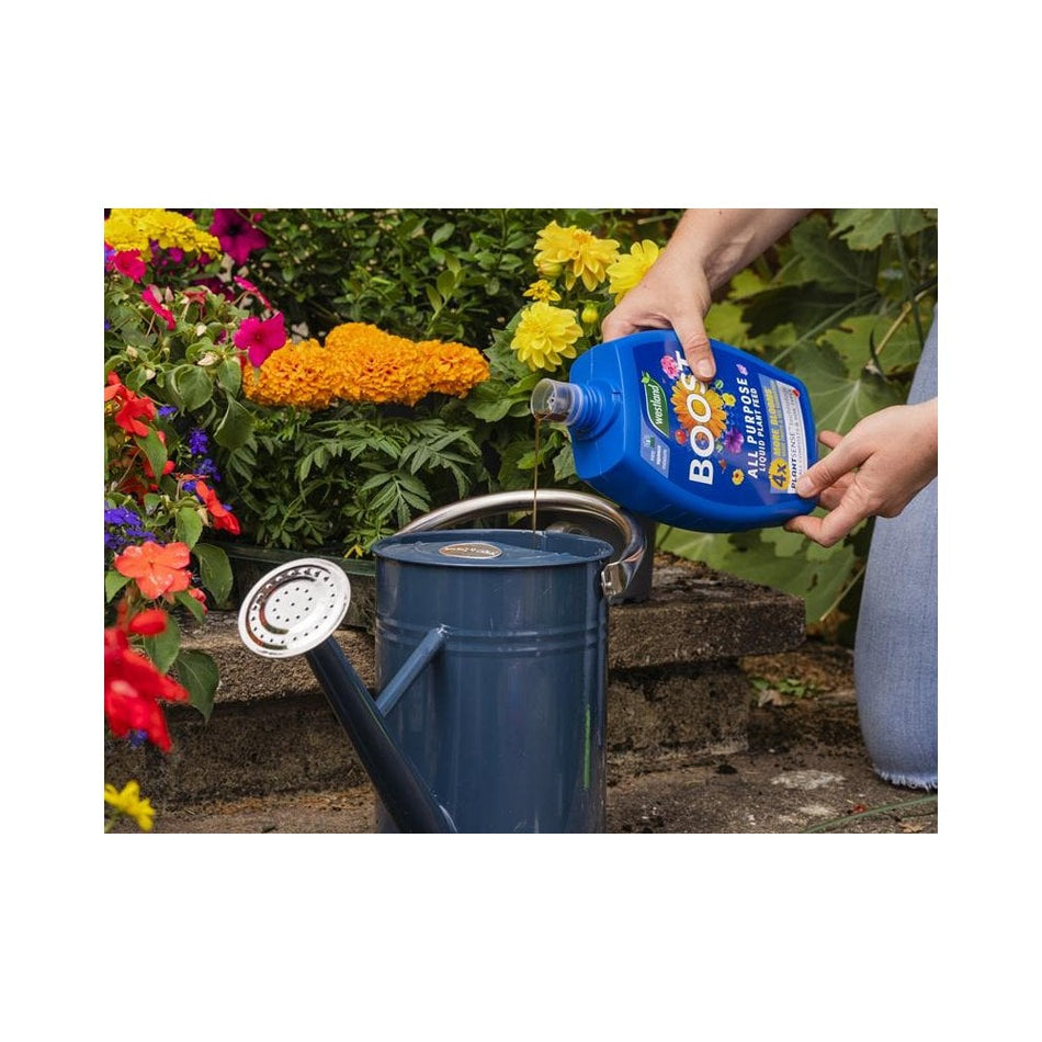 Westland Boost All Purpose Liquid Plant Feed 1 litre